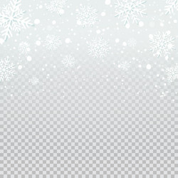 falling snow backdrop on transparent background vector image