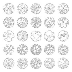 hand drawn set of top view trees vector image