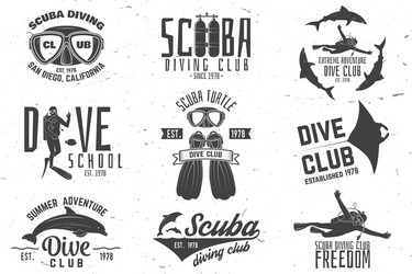 set of scuba diving club and school design vector image