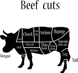 Beef cuts vector