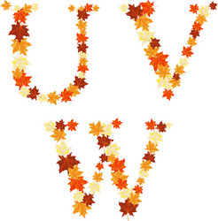 autumn letter vector image