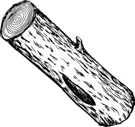 Wood log vector