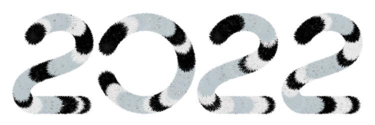 happy new year 2022 white black cute fluffy tiger vector image