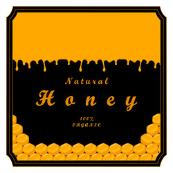 Set honey vector