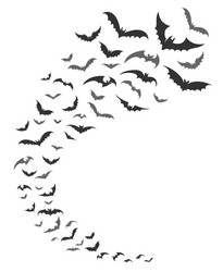 bats swarm silhouette vector image