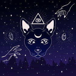 Magic cat face with moon on forehead in night vector