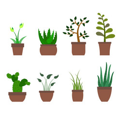 color set with house plants icons vector image