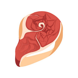 a piece of raw meat vector image