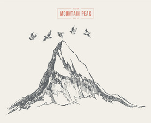 peak mountain irds flying over drawn sketch vector image