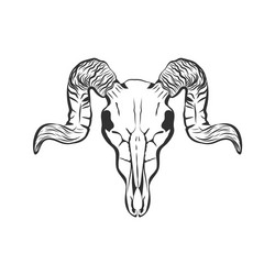 Ram skull hand drawn sketch vector