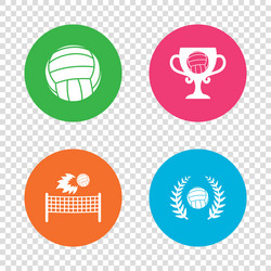 volleyball and net icons winner award cup vector image