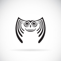 an owl design on white background bird wild vector image