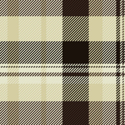 guy check plaid pattern graphic seamless textile vector image