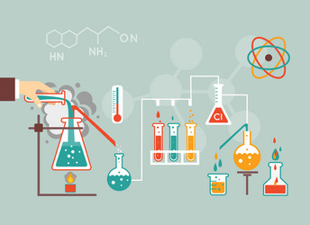 chemistry demographic vector image