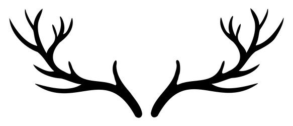 deer horn silhouette vector image