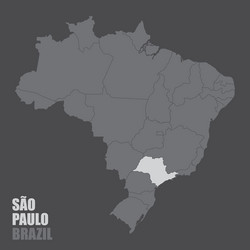 brazil sao paulo state map vector image