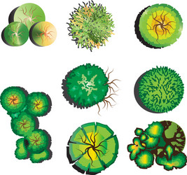 plants top view set 2 vector image