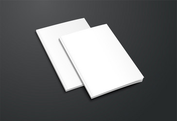 mockup white brochure on black background vector image