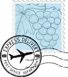 Postal stamp with grapes and round postmark vector