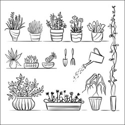 pot plants and tools sketch vector image