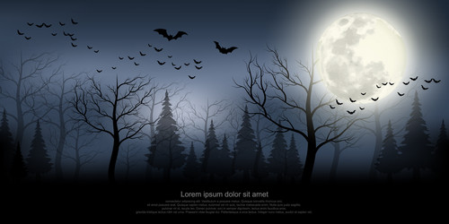 A scary forest with mist curtain lonely vector