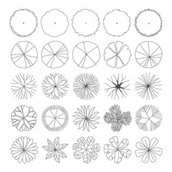 tree hand drawn doodle plan view for landscape vector image