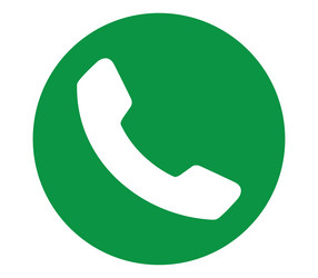 green phone icon vector image