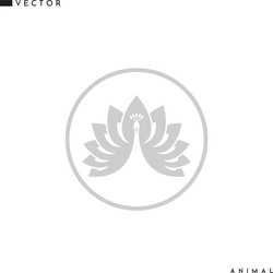 white peacock emblem vector image