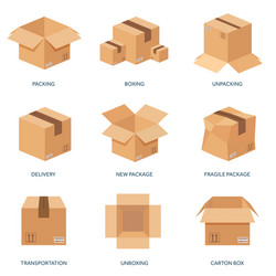 flat carton box transport vector image