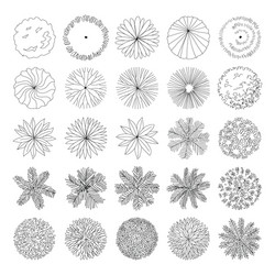 plan tree top for landscape vector image