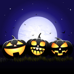 halloween night vector image