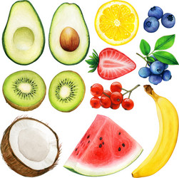 watercolor fruit set vector image