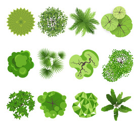 trees - top view vector image