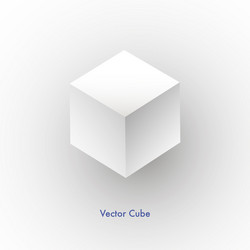 white cube icon vector image