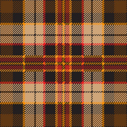 brown and orange tartan plaid pattern vector image