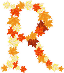 autumn maples leaves letter vector image