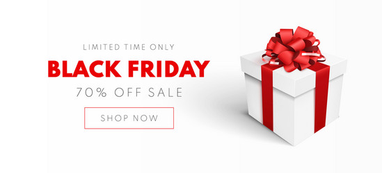 black friday sale vector image