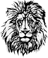 lion vector image