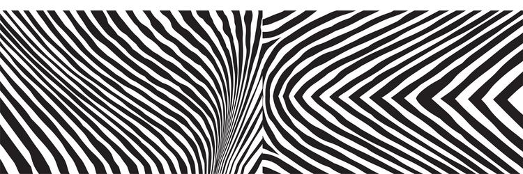 wild zebra wave pattern set with black and white vector image