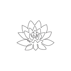 one single line drawing beauty fresh lotus vector image