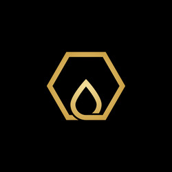 luxury hexagon drop or oil logo vector image