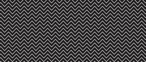 parallel zigzag lines background black and white vector image