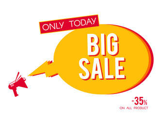 big sale megaphone banner isolated on white vector image