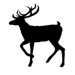 deer silhouette vector image