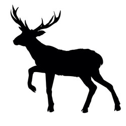 deer silhouette vector image