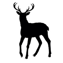 Deer silhouette vector