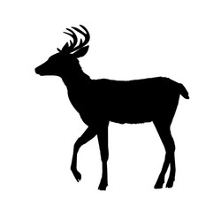 deer silhouette vector image