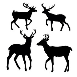 Deer silhouette vector