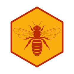 bee in honeycomb vector image