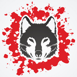 wolf face front view fox head vector image